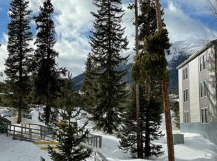 2400 Lodge Pole Cir #D-206, Silverthorne, CO 80498