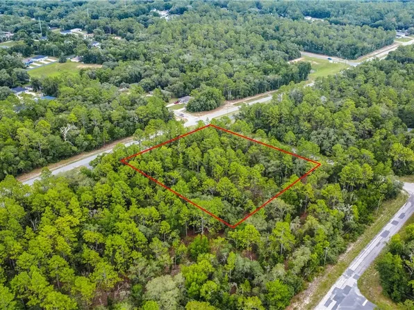 1287 W Evergreen Dr, Citrus Springs, FL 34434