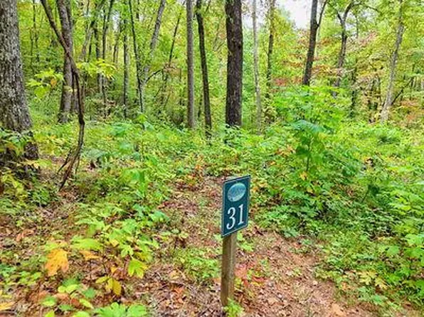 Lot 31 Skyview Trail LOT 31, Hayesville, NC 28904
