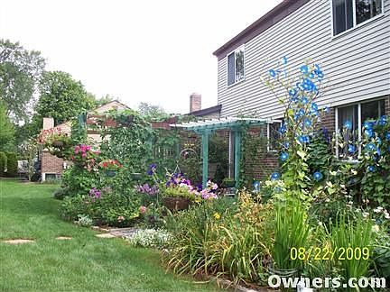 View from back - lush gardens