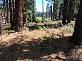 11401 Golden Pine Rd, Truckee, CA 96161