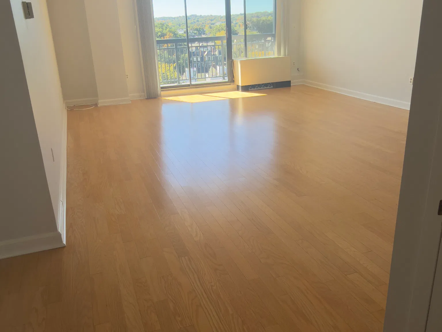 1 bed, 788 sqft, $3,500 — Photo 2