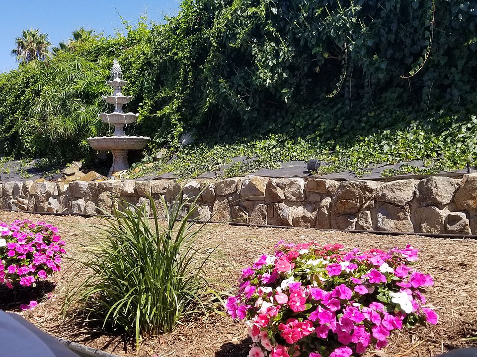 Back Yard Fountain