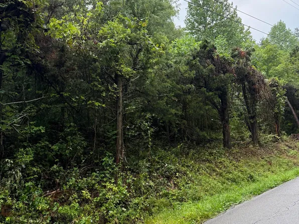 Tbd Chambers Dr, Elizabethton, TN 37643