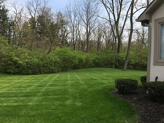Lush, Large yard.