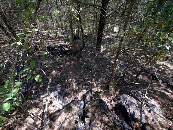 4th image of Tract 2 Simpson Rd