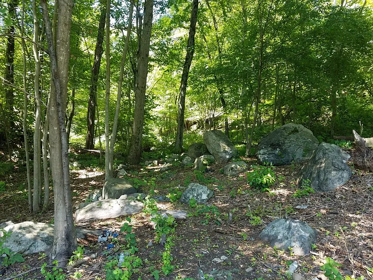 1 Bush Rd — Photo 14