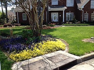 2nd image of 800 Perez Ct