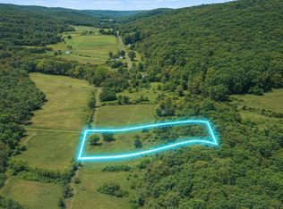 Back Mountain Rd, Winchester, VA 22602
