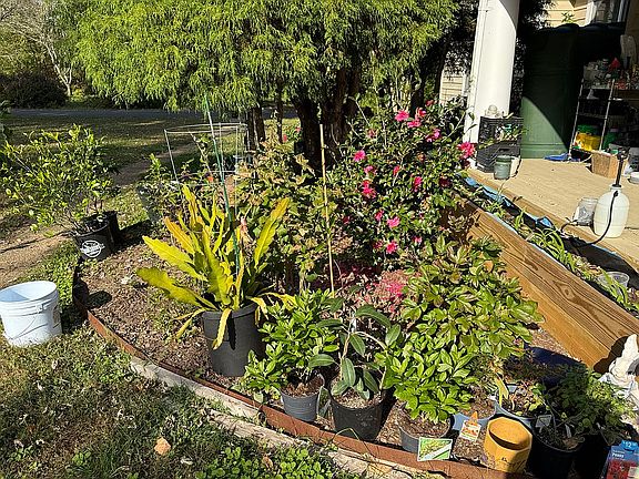 2nd image of 18613 Pettyjohn Rd