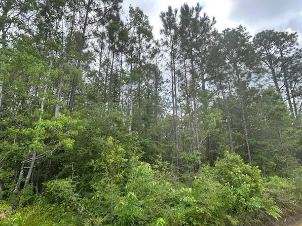 Xx North Ave #15, Milton, FL 32583