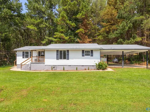 3423 Little Wills Valley Rd, Attalla, AL 35954