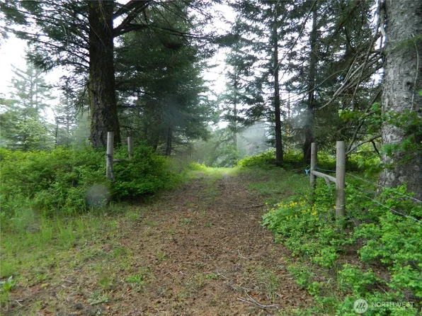 0 TBD Tobys Mill Road, Tonasket, WA 98855