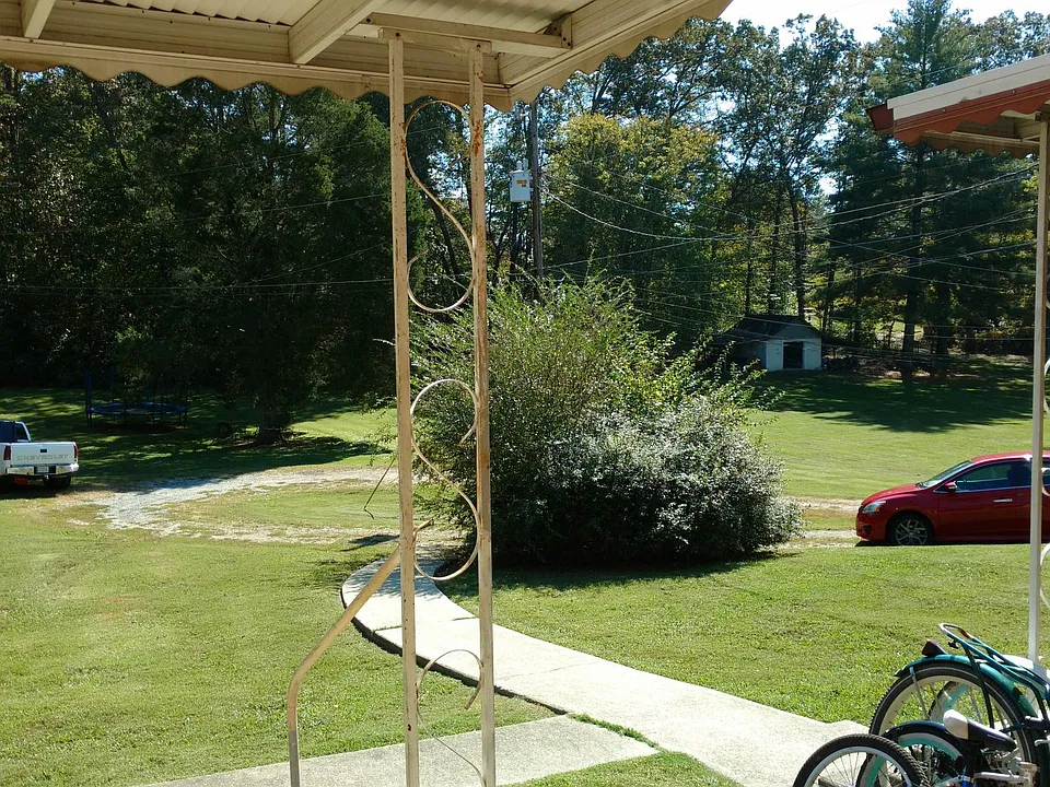 Back yard