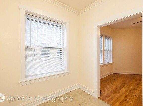 5th image of 901 W Altgeld St APT 1B