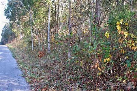Property on right as pictured is heavily wooded.