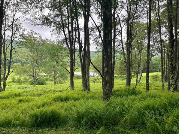 7 Refuge Ln, Davis, WV 26260