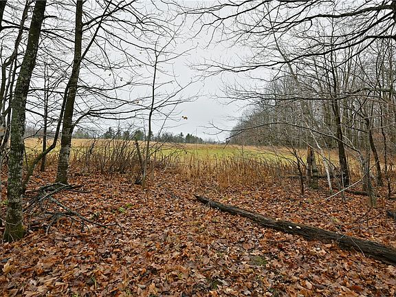 5th image of 80 acres County Highway C
