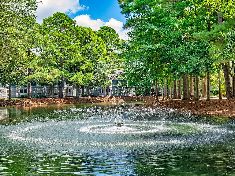 MAA James Island — Photo 4