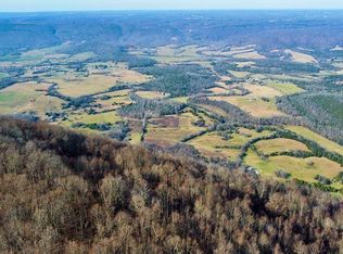 428 Dunlukin Dr, Spring City, TN 37381