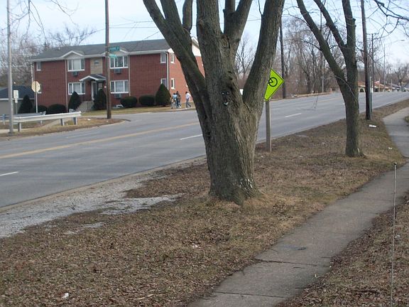 StreetView