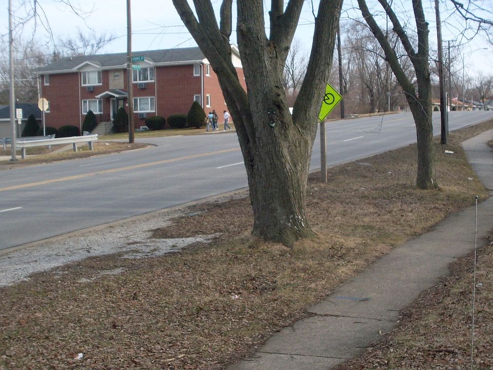 StreetView