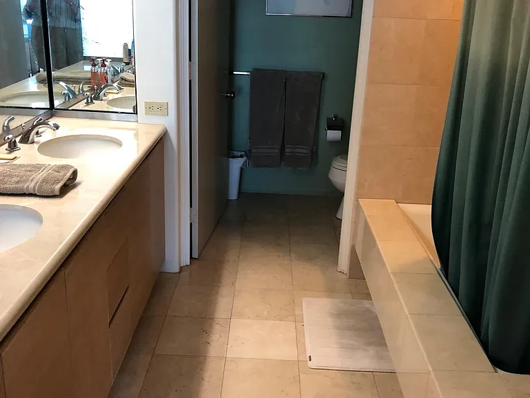 master bathroom