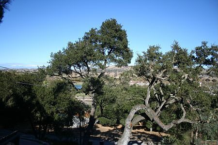 View from front of home