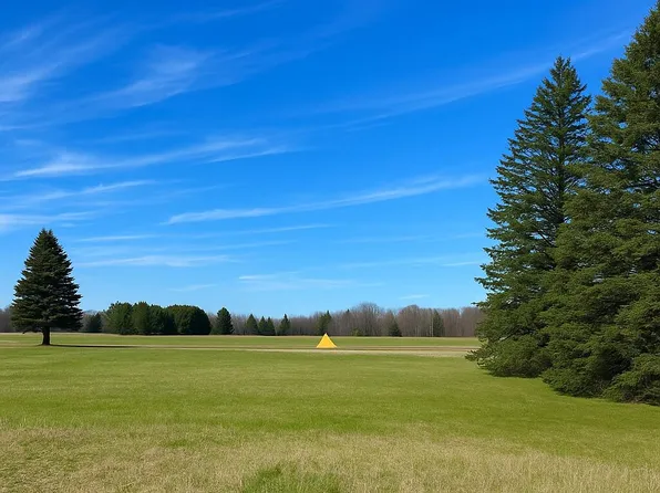 7216 Cessna Ln, Stanwood, MI 49346