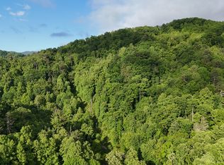 0 Big Pine Rd, Marshall, NC 28753