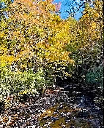 Fires Creek Picnic Area
