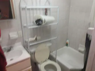 Rented by P Management