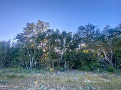 LOT 2 Coronado Ave, Alford, FL, 32420