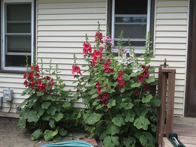 2nd image of 6407 31st Ave N