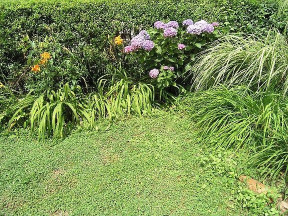 Colorful Gardens