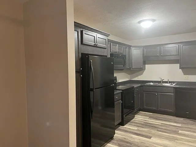 1 bed, $950 — Photo 3