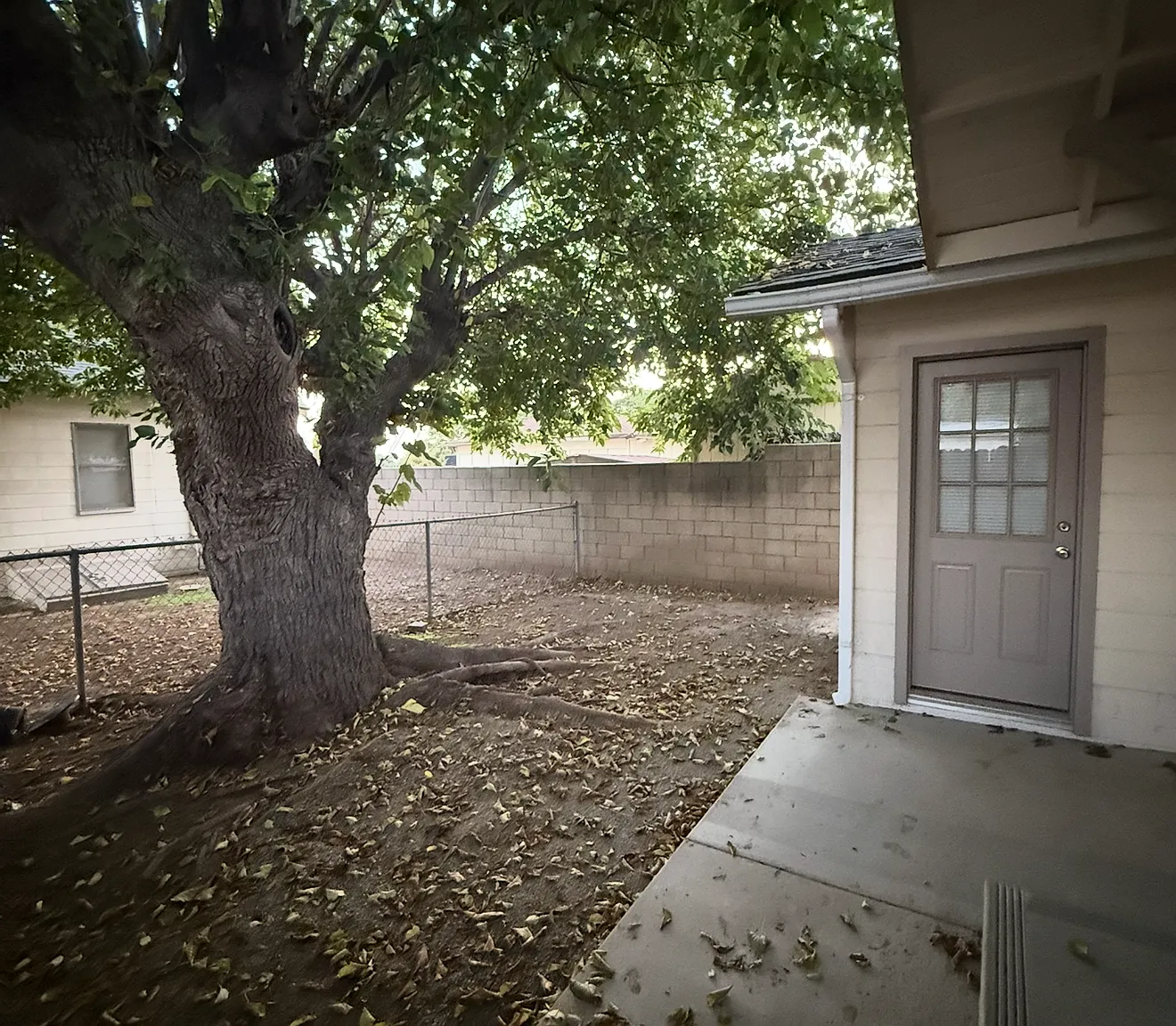 1 bed, 516 sqft, $1,900 — Photo 2
