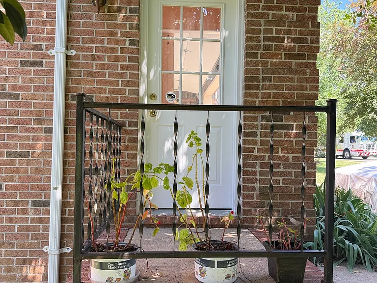 21 Ridge Pointe Ln — Photo 3