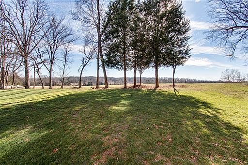 Lot extends beyond trees