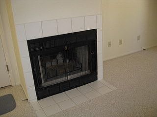 Wood firepl