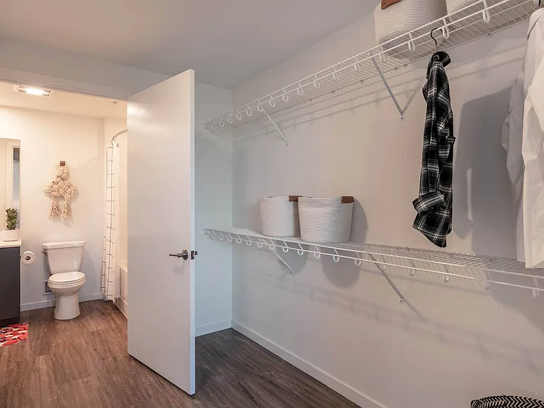 Large Walk-In Closets