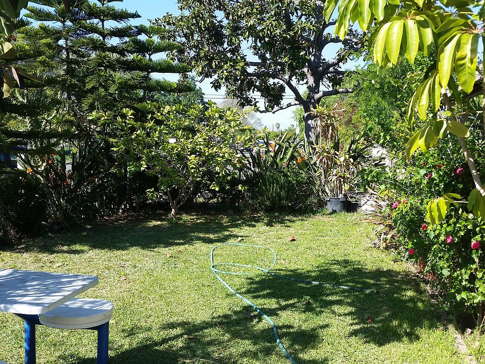Front Yard