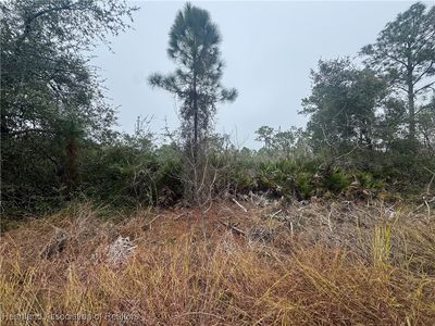 3137 Cedar Grove Ave, Lake Placid, FL, 33852