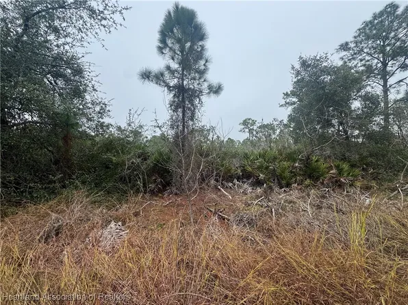 3137 Cedar Grove Ave, Lake Placid, FL 33852