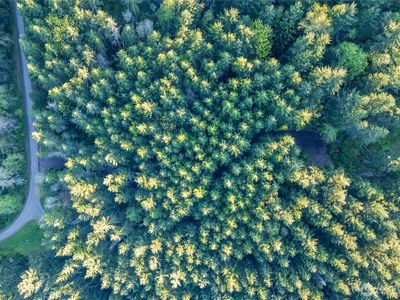 0 Discovery Ridge Road, Pt Townsend, WA, 98368