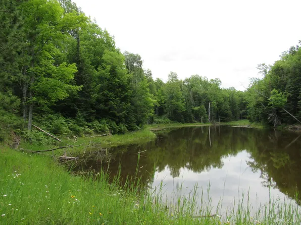 17264 Aura Rd, Lanse, MI 49946