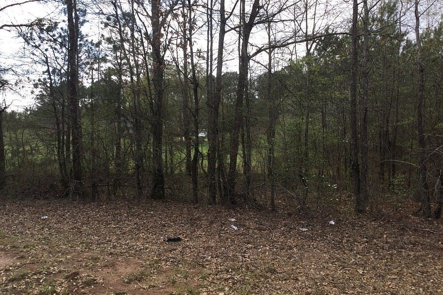 28299 Us Highway 431, Five Points, AL 36855 Zillow