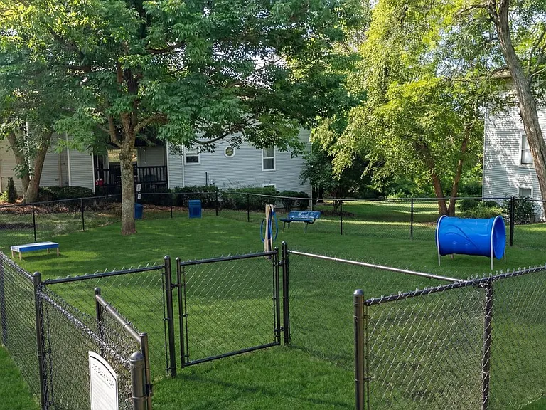 Pet-Friendly Apartments in Cincinnati