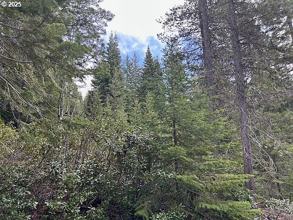 5th image of 4 Royce Pine Rd