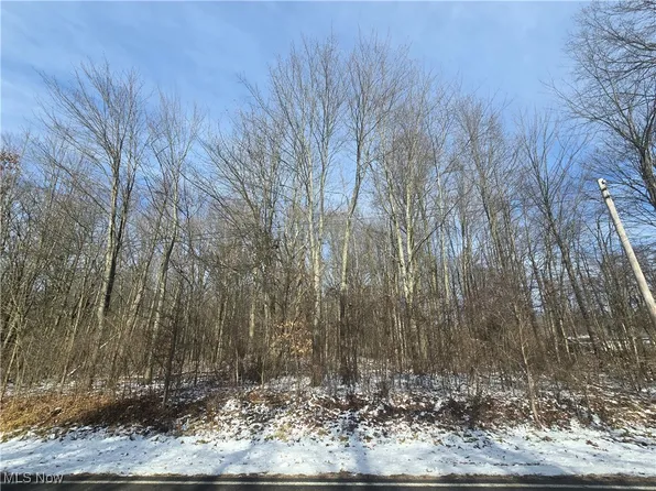 Leffingwell Rd, Berlin Center, OH 44401